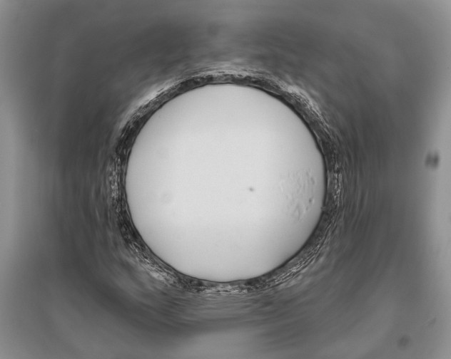 X0000096431159200802211140