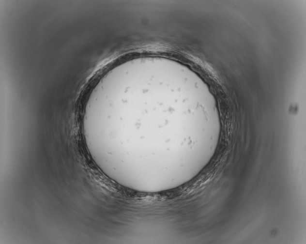 X0000096431160200802211140