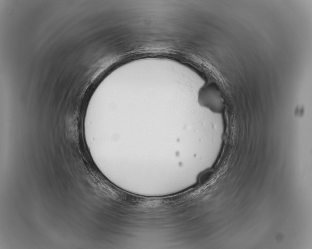 X0000096431162200802211140