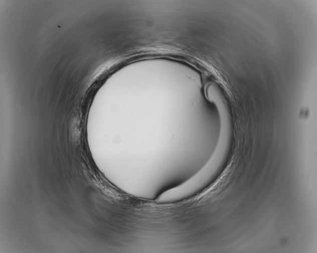 X0000096431163200802211140