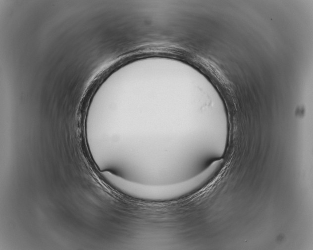 X0000096431164200802211140