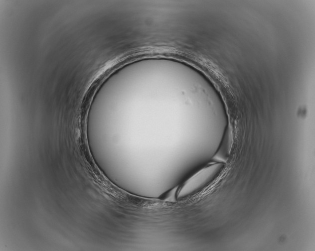 X0000096431165200802211140