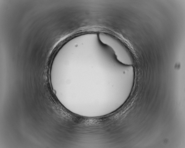 X0000096431166200802211140