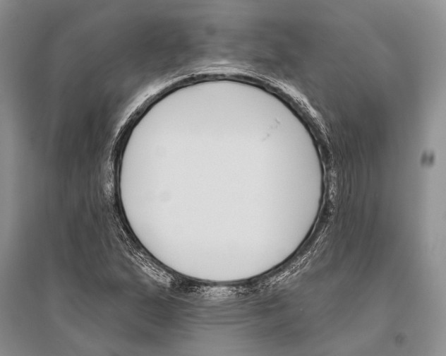 X0000096431167200802211140
