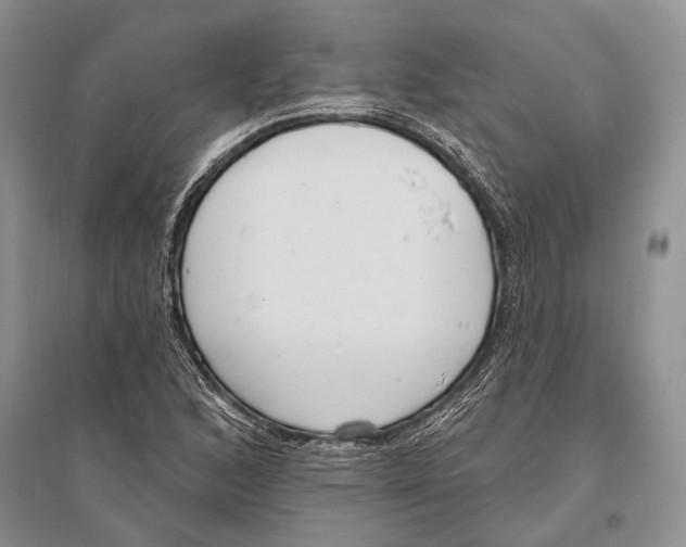X0000096431168200802211140