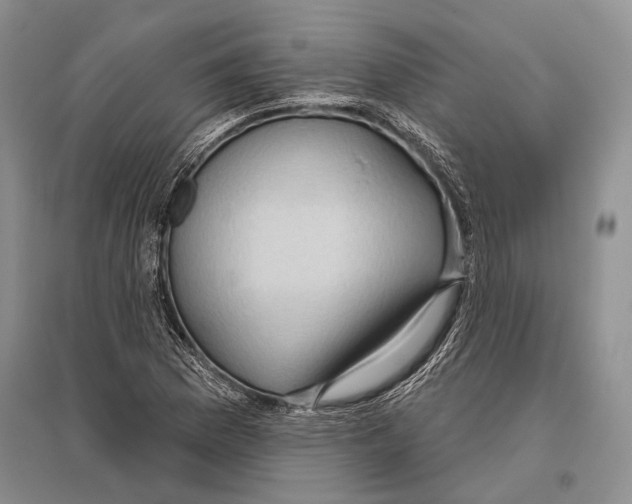 X0000096431169200802211140