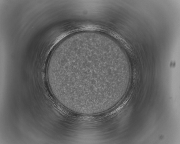 X0000096431170200802211140