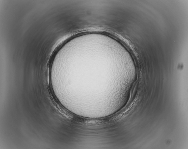 X0000096431171200802211140