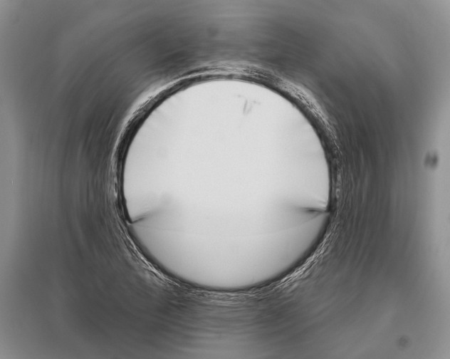 X0000096431172200802211140