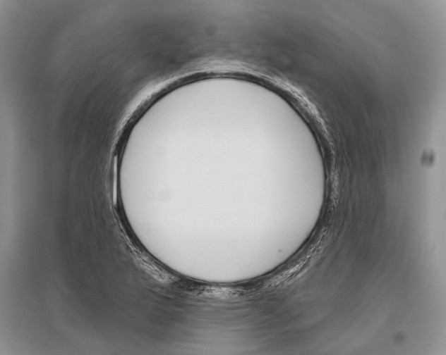 X0000096431175200802211140