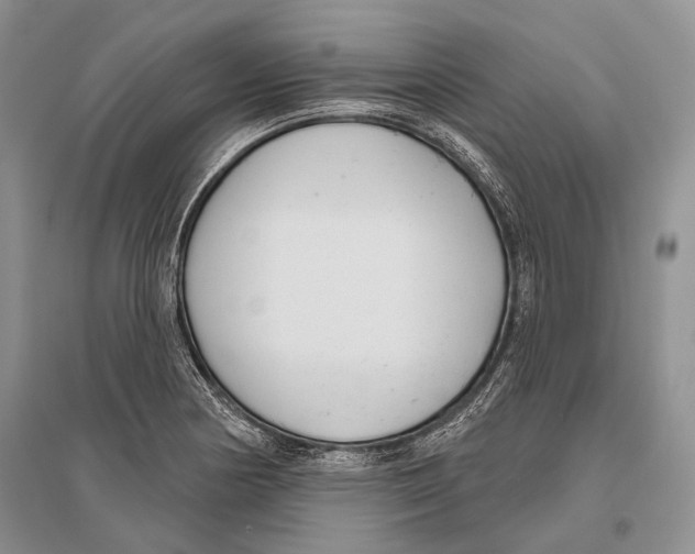 X0000096431178200802211139