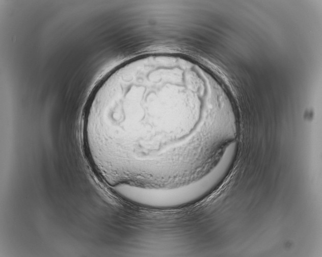 X0000096431179200802211139