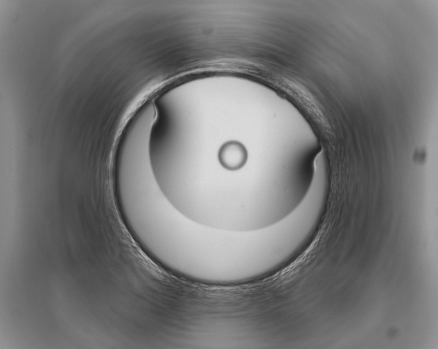 X0000096431180200802211139