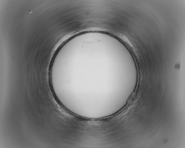 X0000096431181200802211139