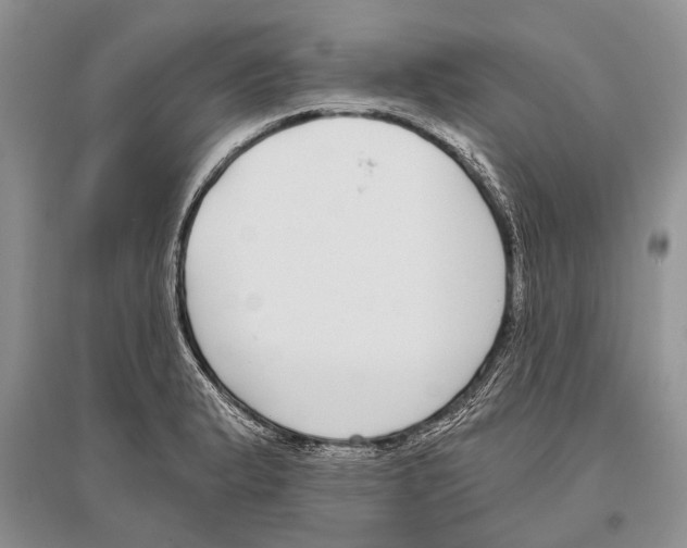 X0000096431183200802211139