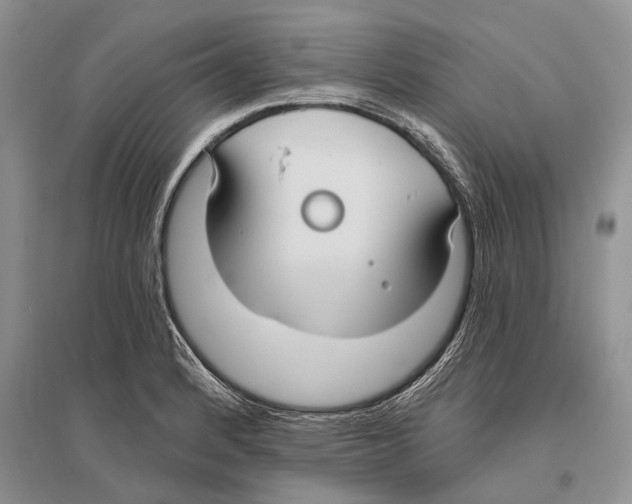 X0000096431184200802211139
