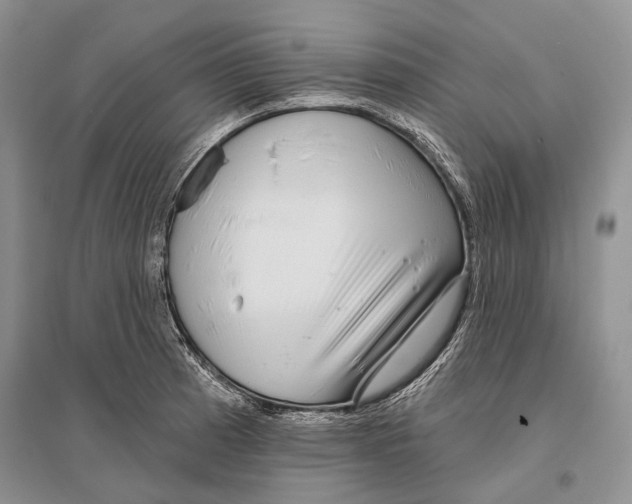 X0000096431185200802211139