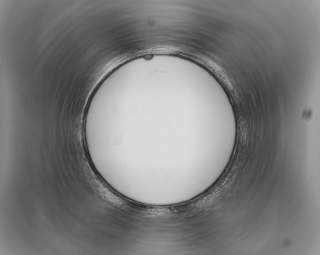 X0000096431186200802211139