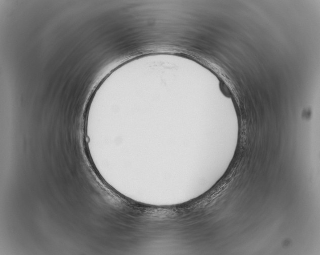 X0000096431187200802211139