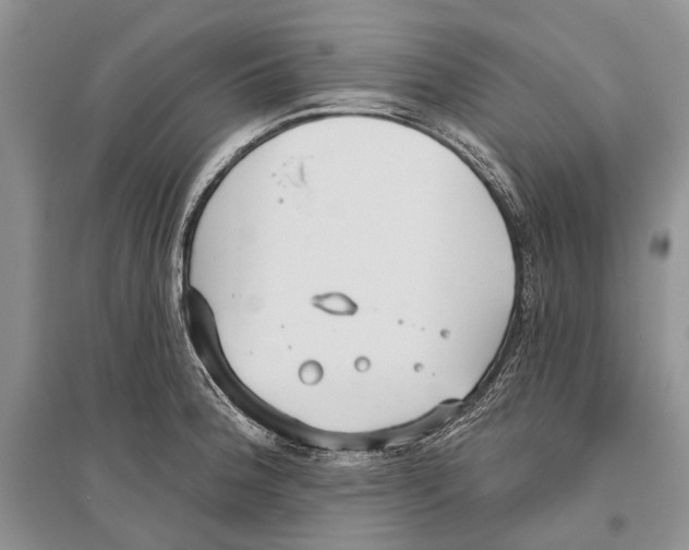 X0000096431188200802211139