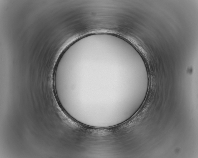 X0000096431189200802211139