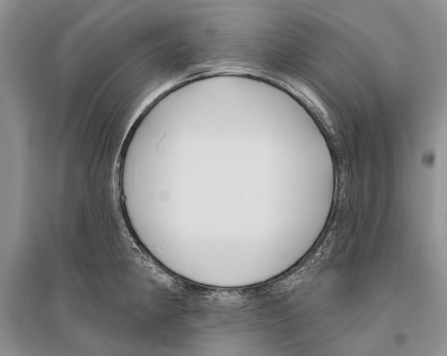 X0000096431190200802211139