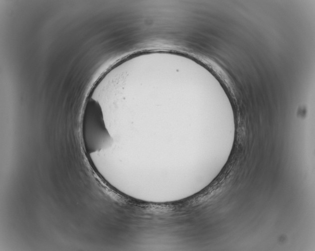 X0000096431191200802211139