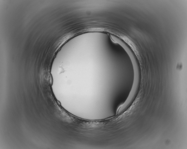 X0000096431193200802211139