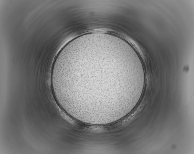 X0000096431194200802211139