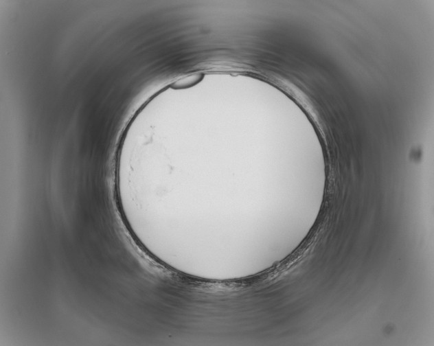 X0000096431195200802211139