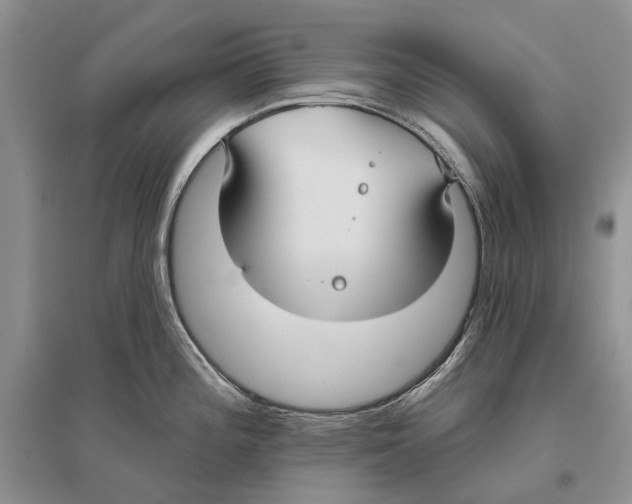 X0000096431196200802211139