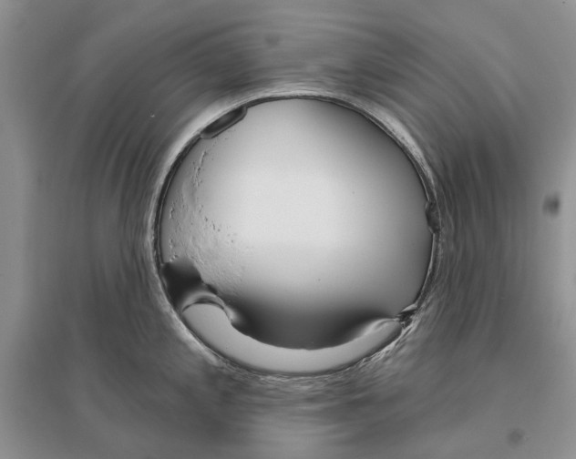 X0000096431197200802211139