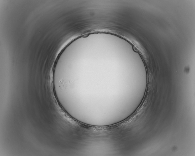 X0000096431198200802211139