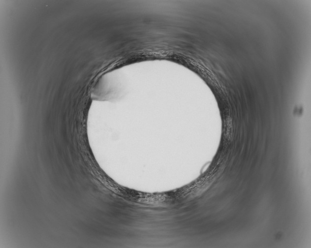 X0000096431201200802211138