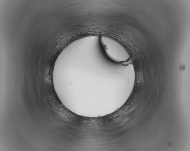 X0000096431202200802211138