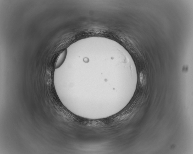 X0000096431203200802211138