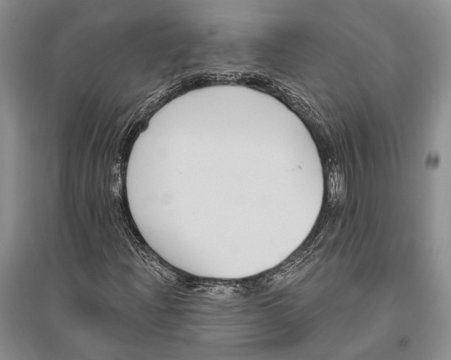 X0000096431204200802211138