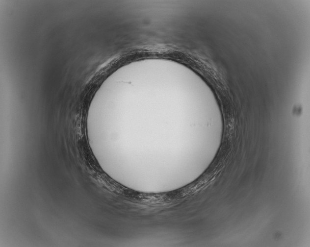 X0000096431205200802211138