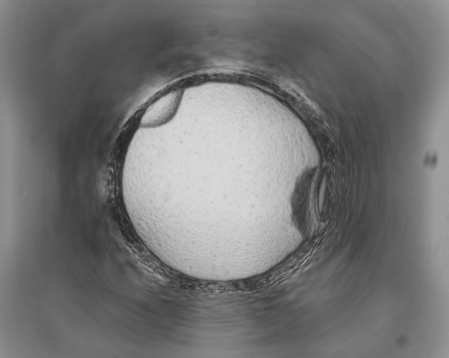 X0000096431208200802211139