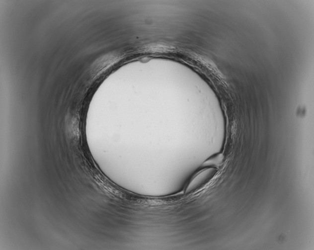 X0000096431209200802211139