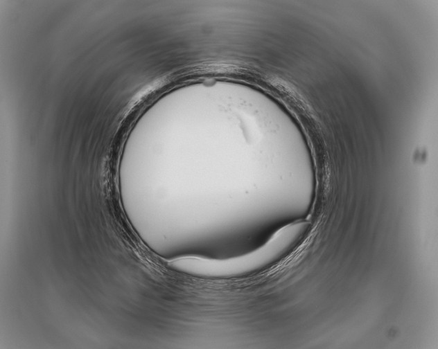X0000096431210200802211139