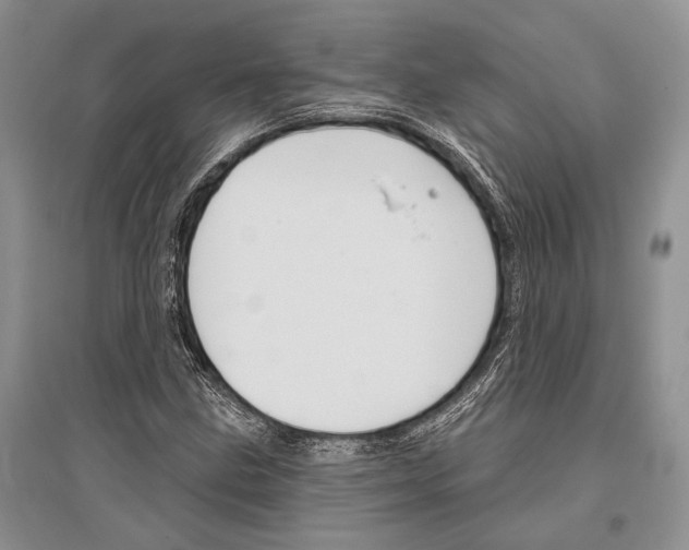 X0000096431211200802211139