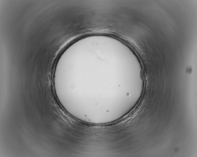 X0000096431212200802211139