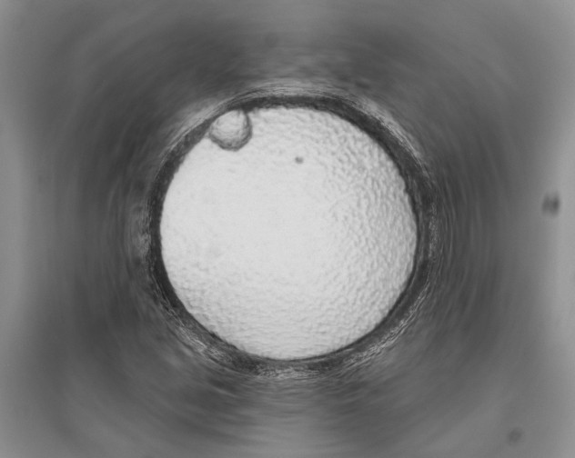 X0000096431213200802211139