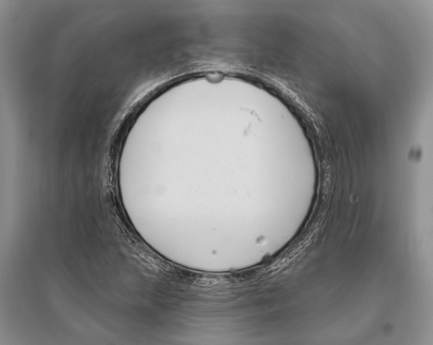X0000096431215200802211139
