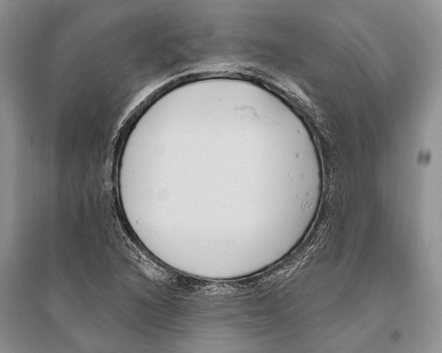 X0000096431216200802211139