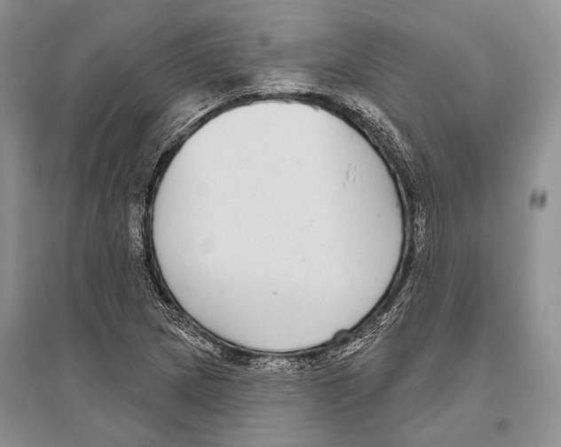 X0000096431217200802211139