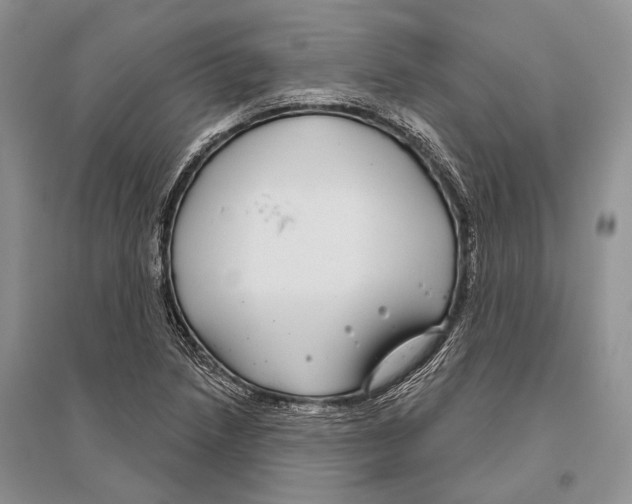 X0000096431218200802211139