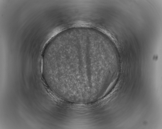 X0000096431219200802211139