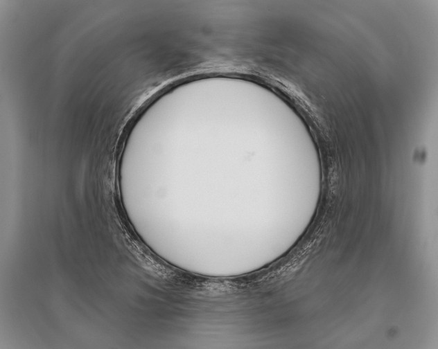 X0000096431220200802211139